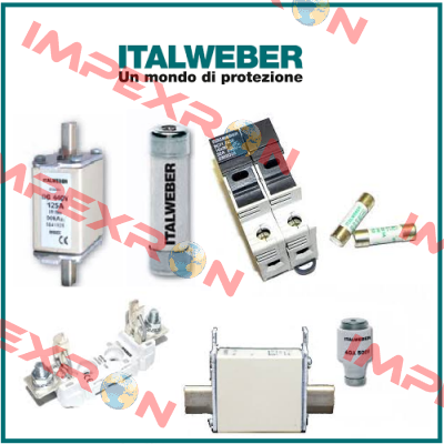 0100800  Italweber