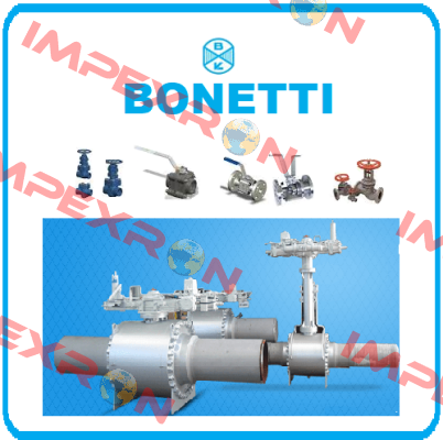 70169 Cesare Bonetti