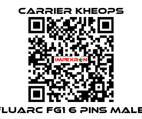  Fluarc FG1 6 Pins Male  Carrier Kheops