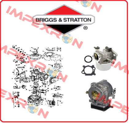 841188-BRI  Briggs-Stratton