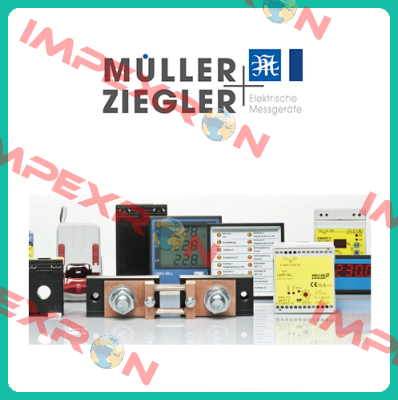 DIW-MU  Müller Ziegler