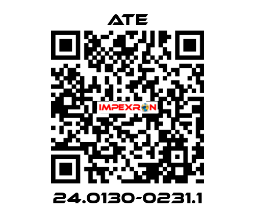 24.0130-0231.1 Ate