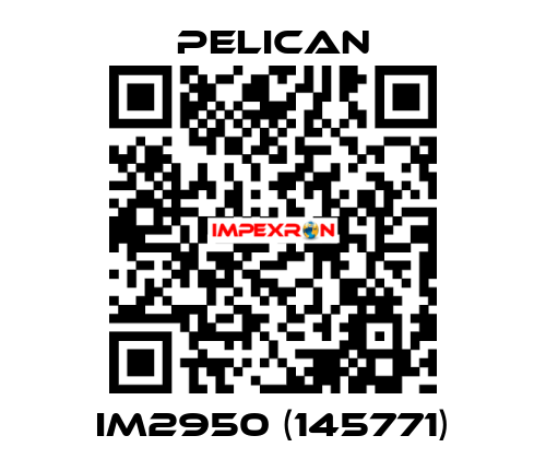 iM2950 (145771) Pelican