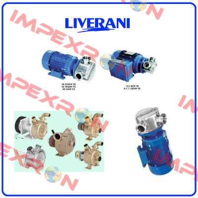 34341141 Liverani