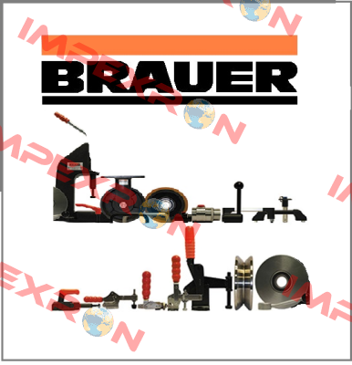 83067160000083 Brauer