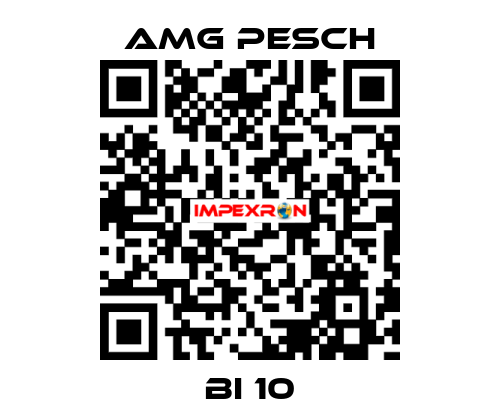 BI 10 AMG Pesch