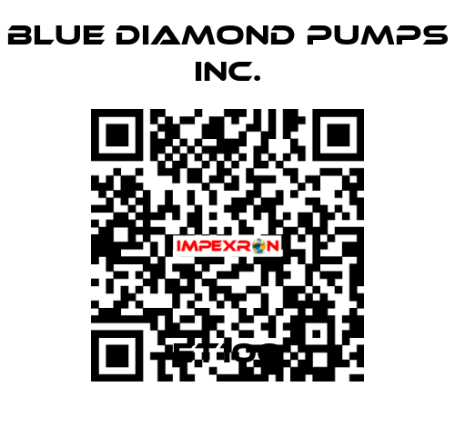 ET100 Blue Diamond Pumps Inc.