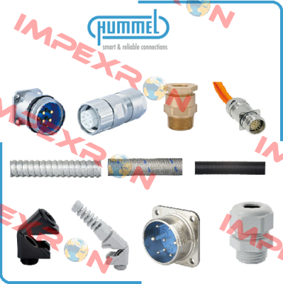 633421006 Hummel