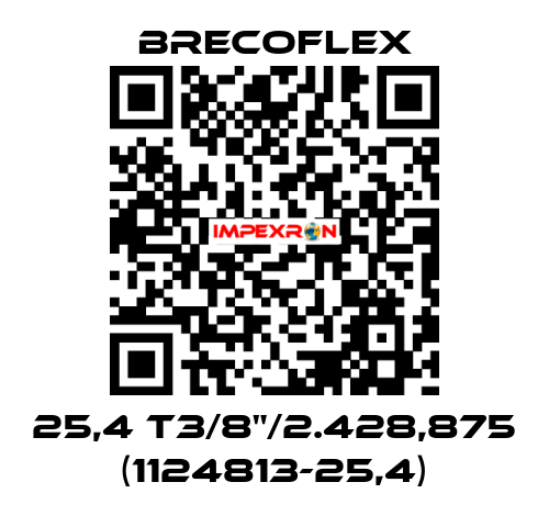 25,4 T3/8"/2.428,875 (1124813-25,4) Brecoflex