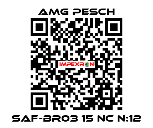 SAF-BR03 15 NC n:12 AMG Pesch