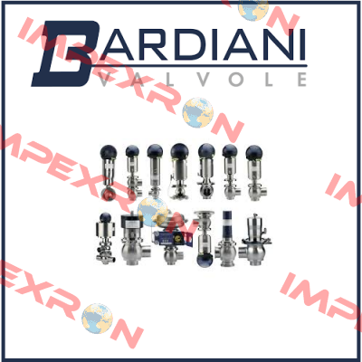 VITON DN65  Bardiani Valvole