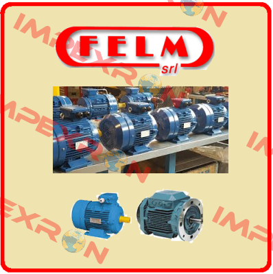 FM2VP-200L-4 Felm