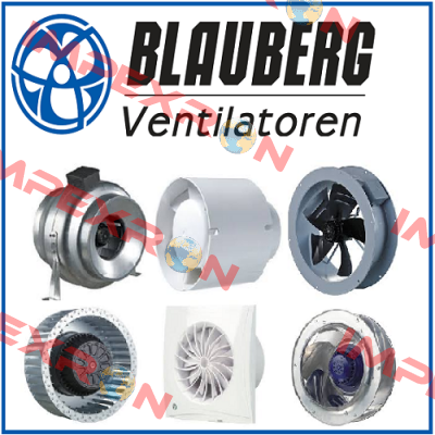 8076800 Blauberg