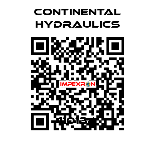 110134 Continental Hydraulics