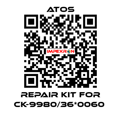 REPAIR KIT FOR CK-9980/36*0060  Atos