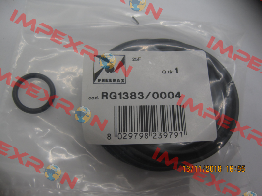 RG1383/0004 Pneumax