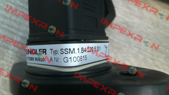 SSM.1.B4.220.5.S1 Engler