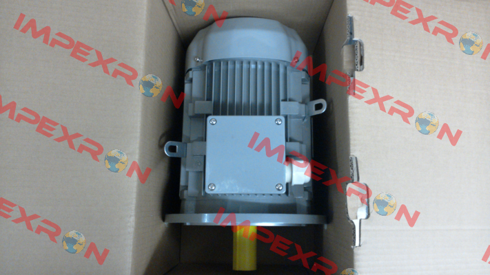 FCPA 132S-6 /PHE AC Motoren